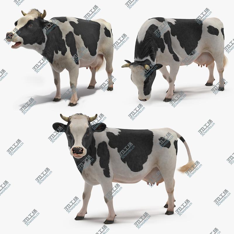 images/goods_img/2021040234/3D Animated Cow Collection model/1.jpg